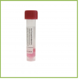 Transport Medium Tube